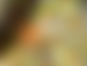 나무 테이블 위에 다섯 개의 투명한 컵들에 쌈채소와 버섯이 가득 담겨있고, 옆에 같은 재료가 담긴 쟁반이 놓여 있다. 식물 장식이 보인다.