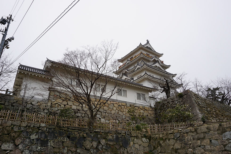 Fukuyama_17.jpg