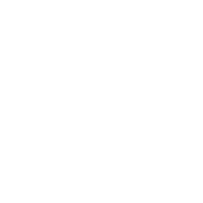 Minimalist White Background