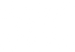 blanc flocon de neige