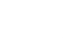 White Snowflake 