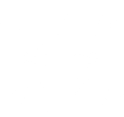 White Snowflake 