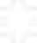 White Snowflake