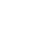 White Snowflake