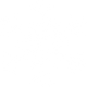 biały Snowflake