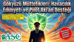 Pilot Akran Destek Programlarının (PSP) Analizi ve Geleceği