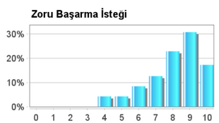 Takım Bağlılığı ve Kariyer Memnuniyeti Raporu
