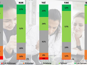 Ne Kadar İyimsersiniz?