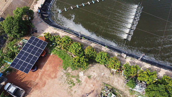 Photo_6553823_DJI_223_jpg_4076070_0_202171715534_photo_original.jpg