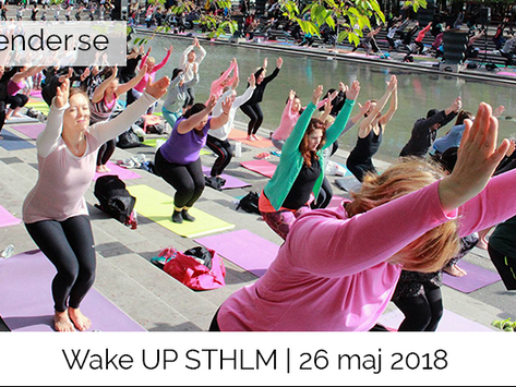 Wake UP STHLM 2018