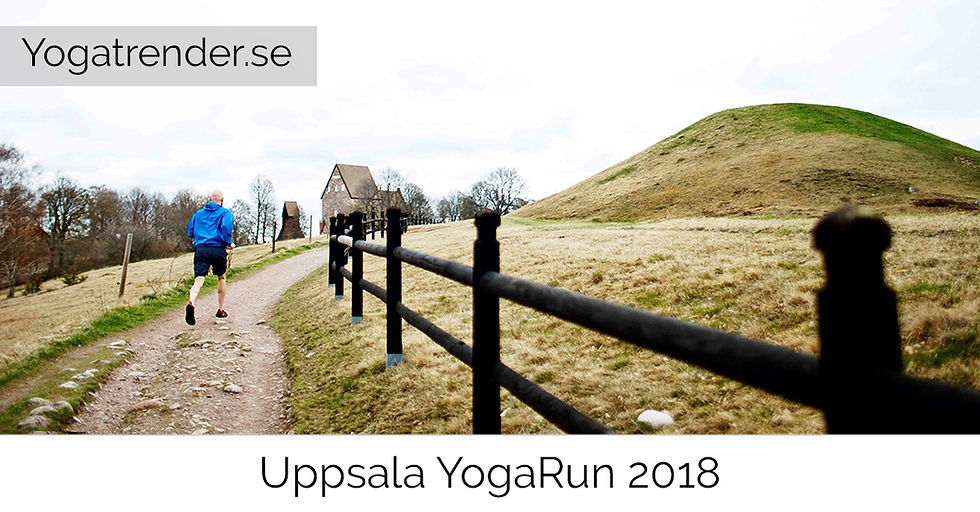 Uppsala YogaRun 2018
