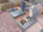 20250314_114055
