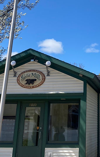 image_6487327 (4).JPG