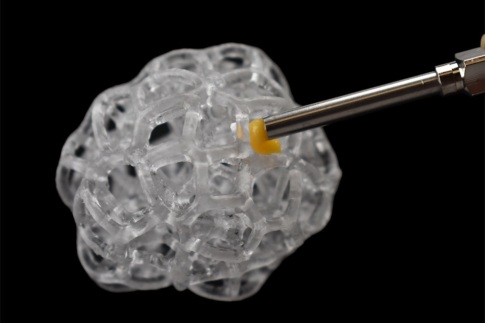 RBT Scaffold