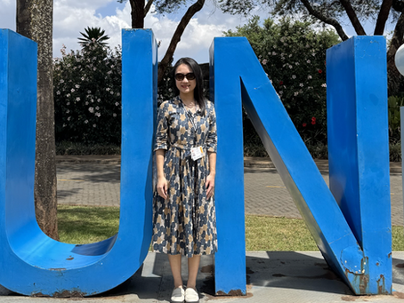 From Negotiation Halls to Governance Architecture: Reflections from UNEA-7 
