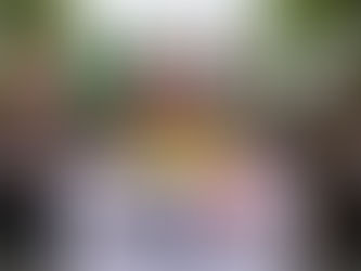 National Protests and Travel Advisory Update