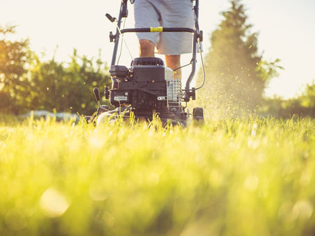 What should I do in Winter to my Garden?