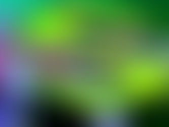 SummerSlam 2003 Logo