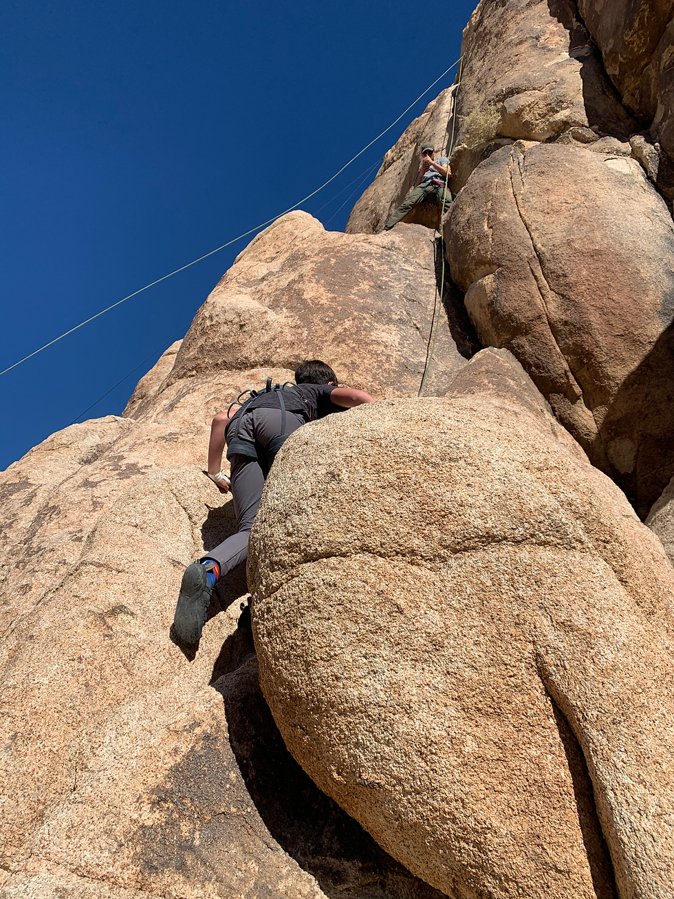 Joshua Tree National Park - Single Day Excursion