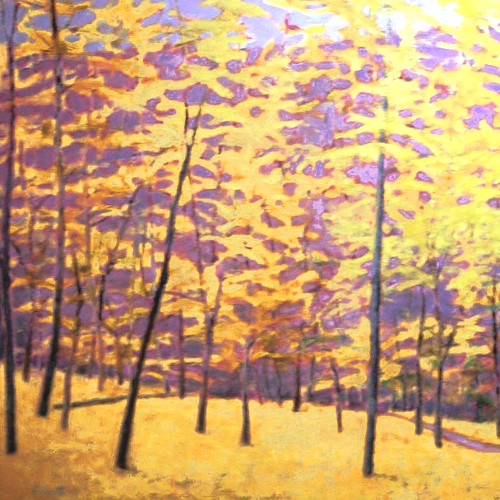 Yellow Surprise, 48 x 60 inches | Ken Elliott