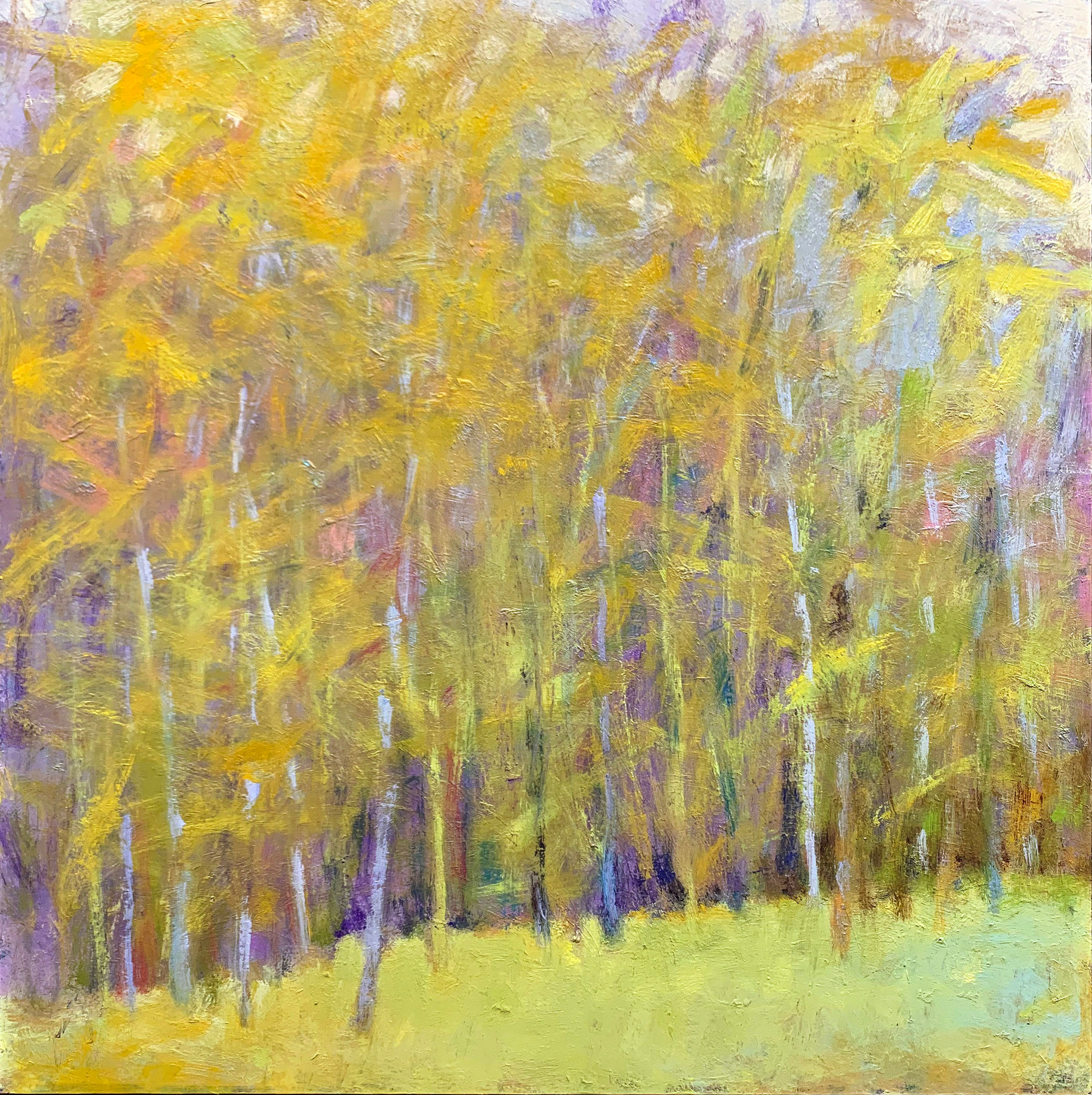 Yellow Winds, oil panel, 24 x 24 in.
