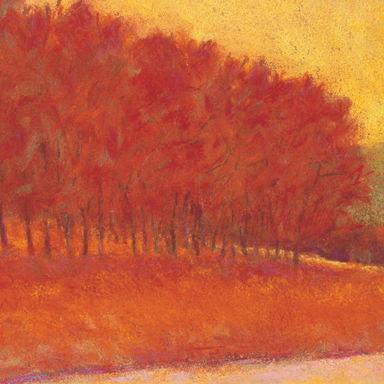Thumbnail: Red Tree Line - Signed, limited edition giclee $300 - $890
