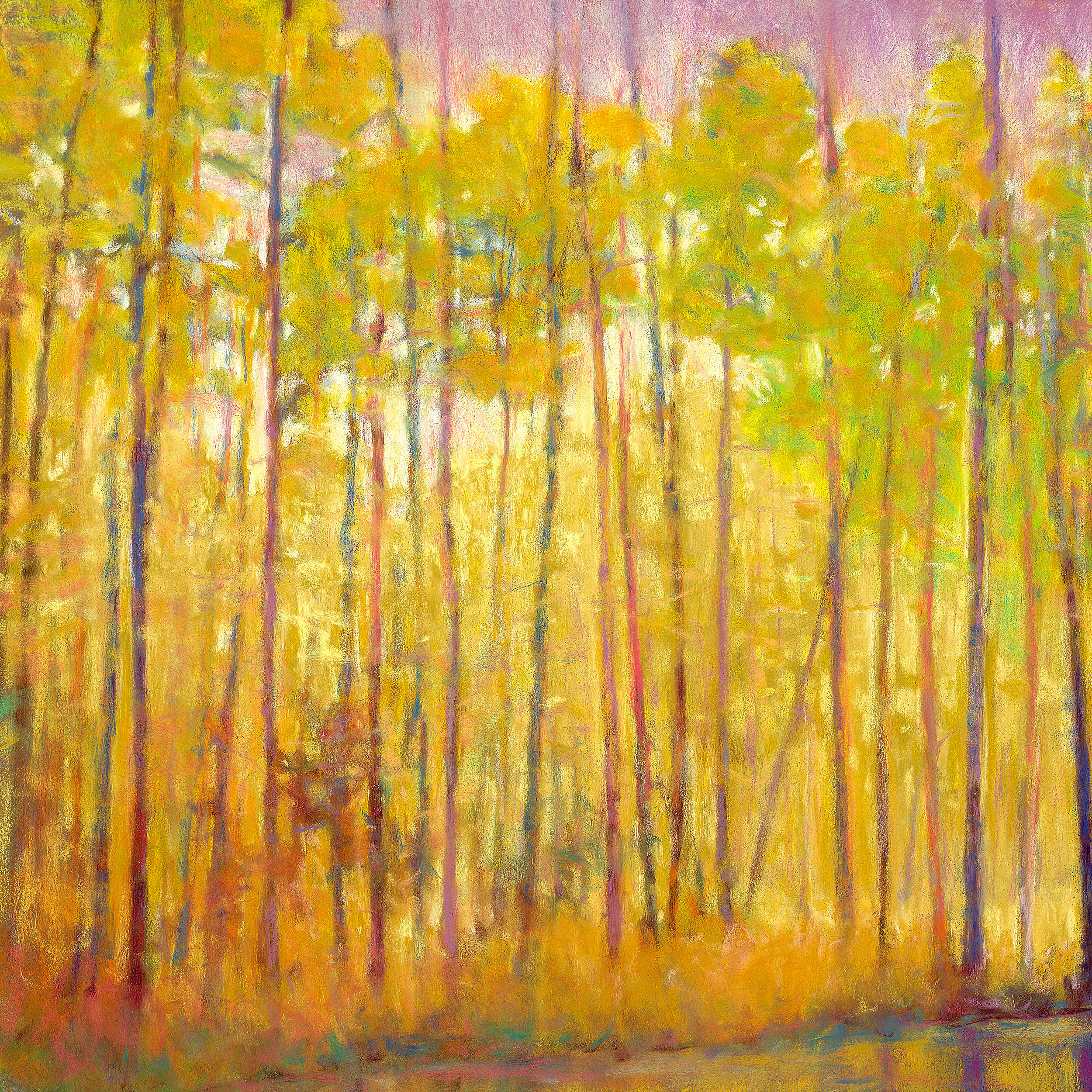 Yellow Curtain - Signed, limited edition giclee $300 - $890