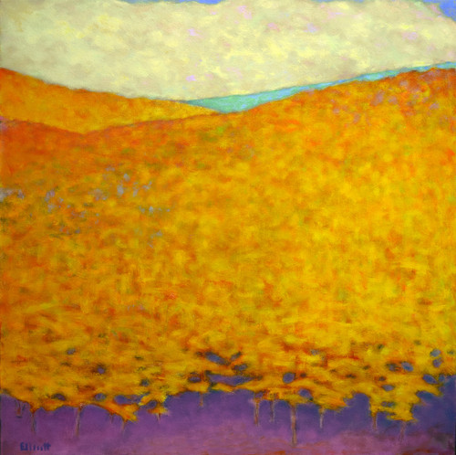 Yellow Abundance II, 40 x 40 inches | Ken Elliott