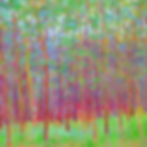 Thumbnail: Long Green Curtain - Signed, limited edition giclee from $300 - $790
