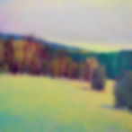 Thumbnail: Colorful Field, oil on canvas, 36 x 36 inches