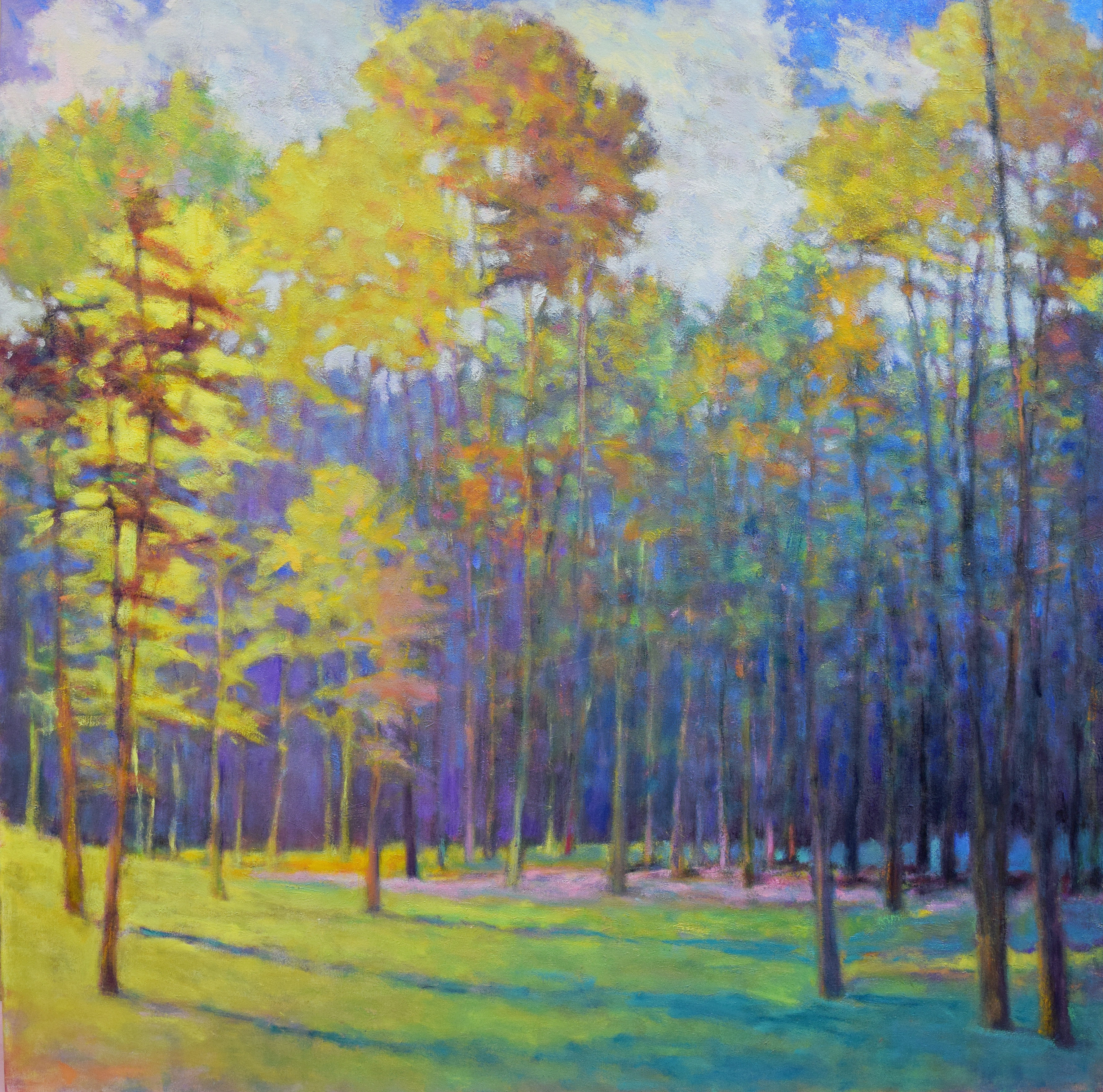 Forest Light into Shade, 48 X 48 inches