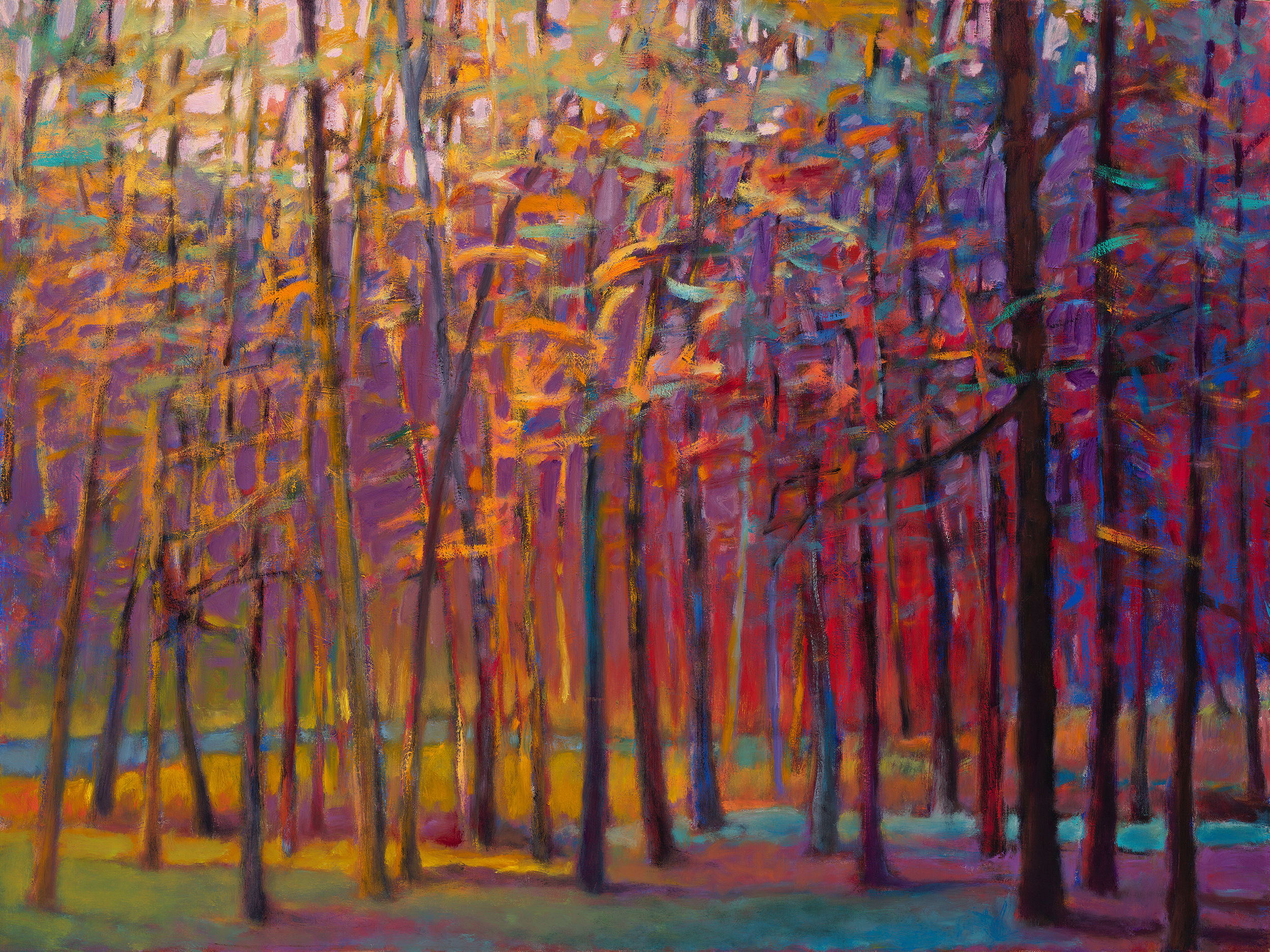 Orange and Red Woods- Signed, limited edition giclee from $300 - $890