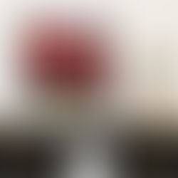 Grateful Notices: Red and Yellow Contrast, oil on canvas, 30 X 30 inches