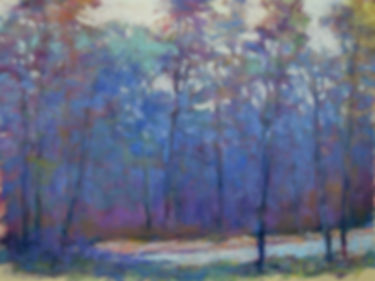 Soft Forest Cool, pastel on sanded paper, 12 x 16 inches