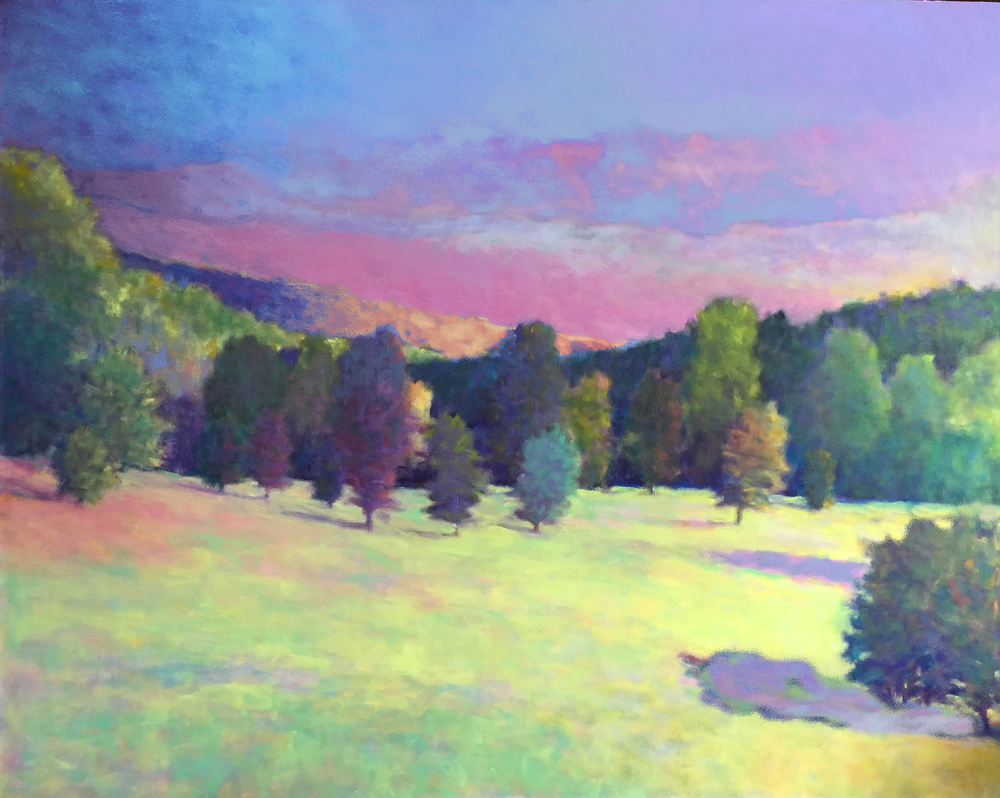 Radiant Landscape, 48 x 60 inches