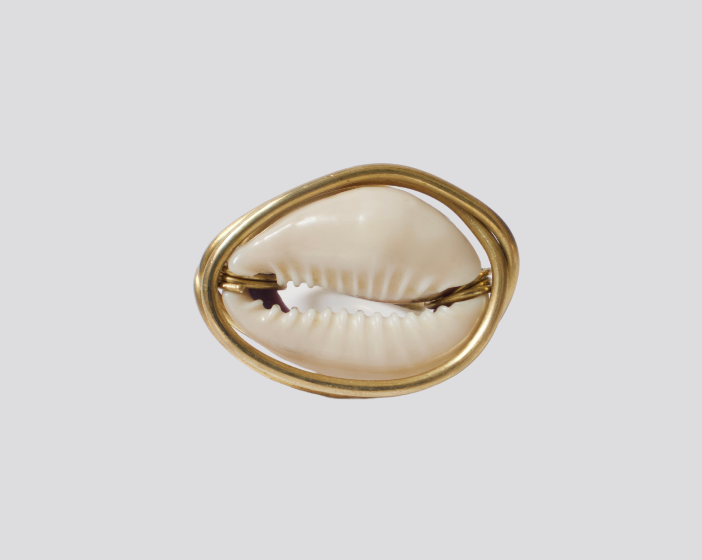Cowrie ring