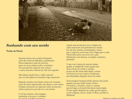 Sonhando com seu sertão (início de publicação de poesias)