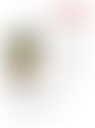 민들레홀씨53호(2020년7월)