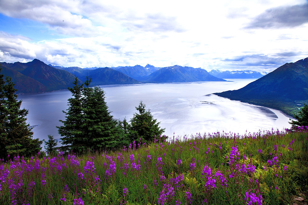 turnagain arm