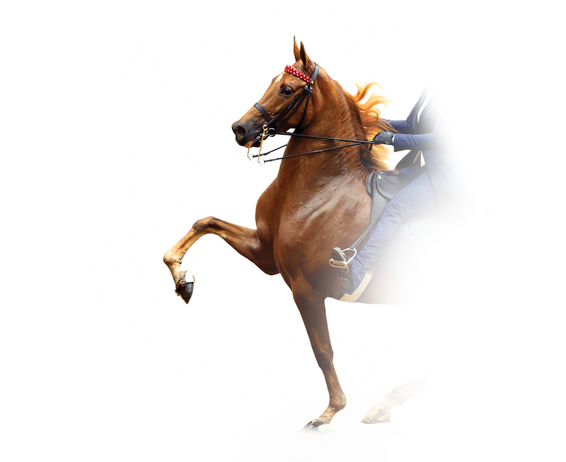portia.png
