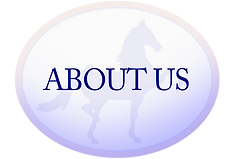 ABOUT US.png