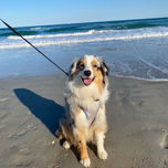 Marissa Lloyd Carter Hair Greensboro