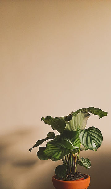 Planta do escritório
