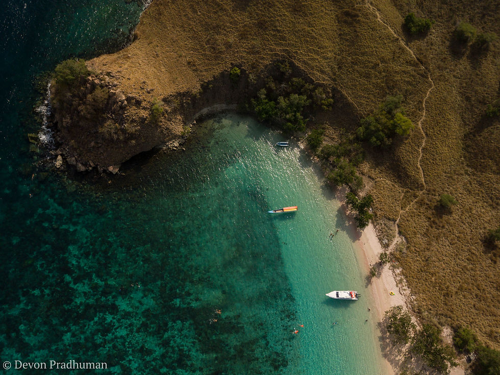 Komodo Cove