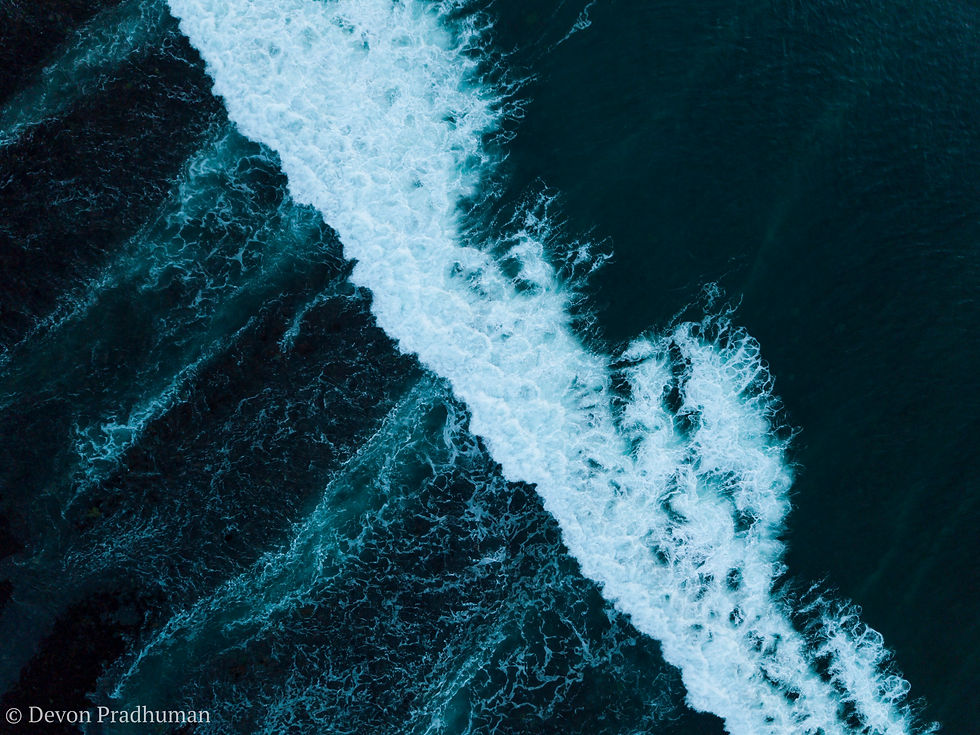 Waveline