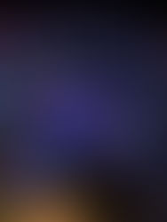 Fairground Fabulous Hairstyles for the Texas State Fair