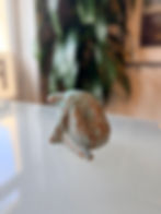 image0