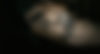 PAGE4_image.png