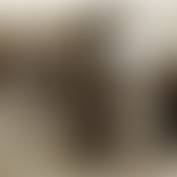 Their World Wasn't Sepia