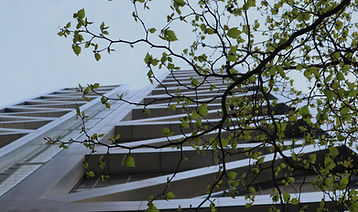 Building and Tree.jpg